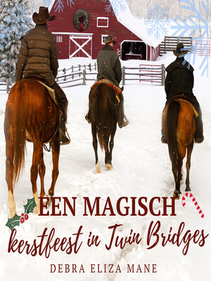 cover image of Een magisch kerstfeest in Twin Bridges